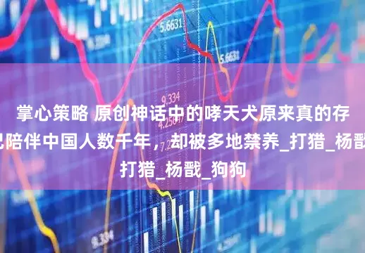 掌心策略 原创神话中的哮天犬原来真的存在，已陪伴中国人数千年，却被多地禁养_打猎_杨戬_狗狗