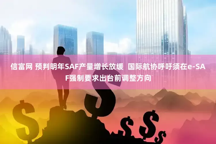 信富网 预判明年SAF产量增长放缓  国际航协呼吁须在e-SAF强制要求出台前调整方向