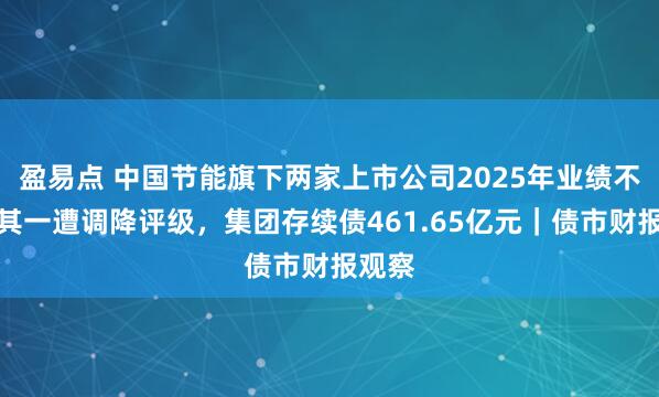 盈易点 中国节能旗下两家上市公司2025年业绩不佳，其一遭调降评级，集团存续债461.65亿元｜债市财报观察